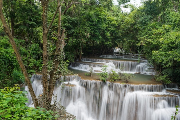 prachtige waterval bos achtergrond landschap