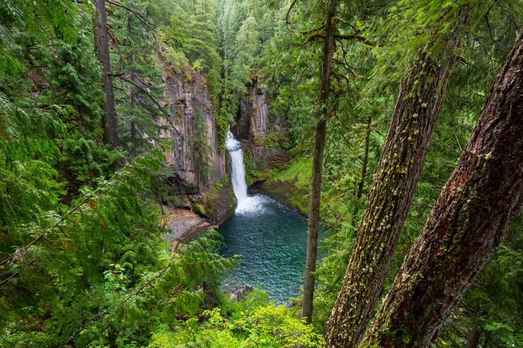 Foto prachtige waterval in groen bos, oregon, verenigde staten.