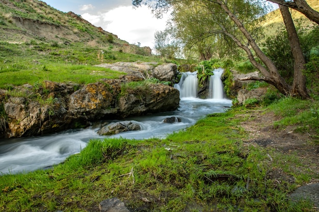 Prachtige waterval in het groene woud