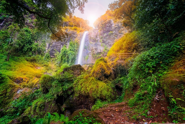 Prachtige waterval in tropisch bos