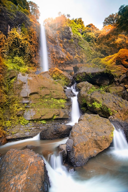 Prachtige waterval in tropisch bos