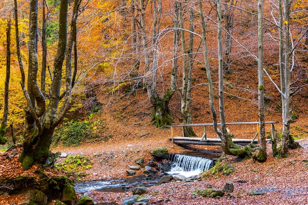 Prachtige waterval Shipot close-up in het herfstbos