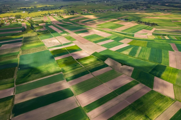 Prachtige weelderige boerderijvelden op het platteland van Polen Drone-weergave van bovenaf