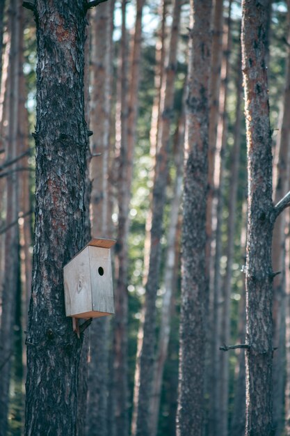 Prachtige wilde eco-omgeving nabij de stad