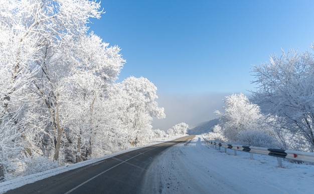 Prachtige winter besneeuwde bergweg