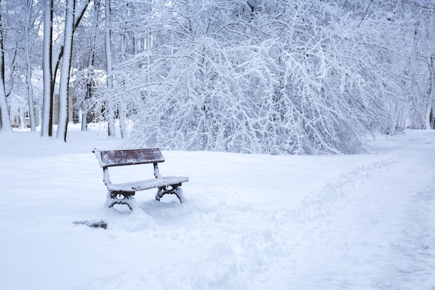 Prachtige winterlandschap in het park