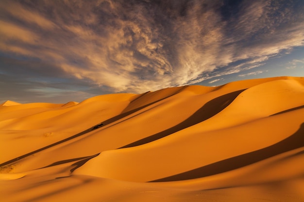 Prachtige zandduinen in de Saharawoestijn