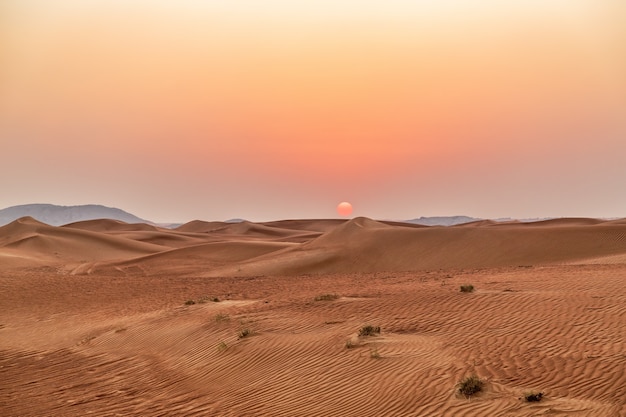 Prachtige zandduinen in de woestijn.