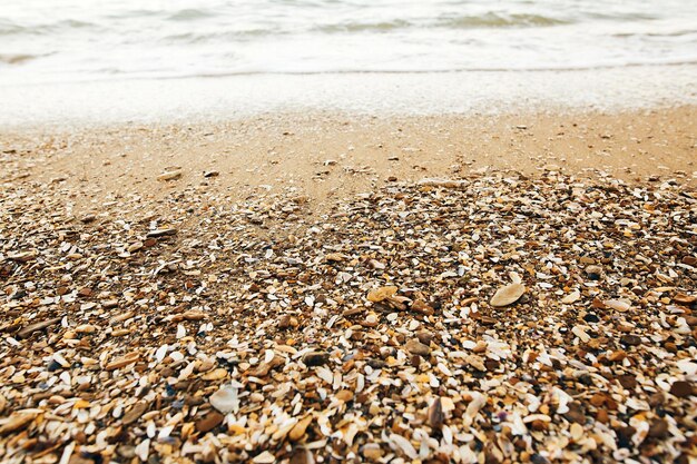 Foto prachtige zee golven schuim close-up en zandstrand met schelpen op tropisch eiland golven en schelpen in oceaan baai of lagune rustig rustig moment zomervakantie