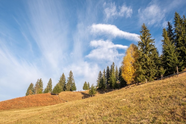 Prachtige zonnige ochtendscène Prachtig uitzicht op het Karpatische berglandschap met herfstweiden en bomen op een mooie zonnige dag met blauwe lucht