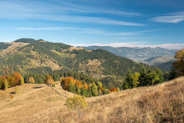 Prachtige zonnige ochtendscène Prachtig uitzicht op het Karpatische berglandschap met herfstweiden en bomen op een mooie zonnige dag met blauwe lucht