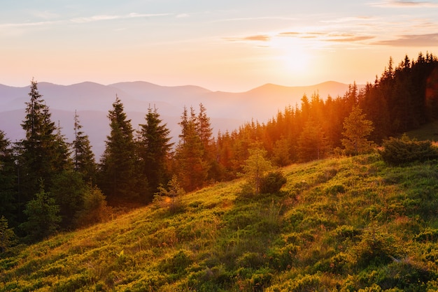 Prachtige zonsondergang in de Karpaten Oekraïne