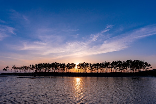 Foto prachtige zonsondergang in pine island