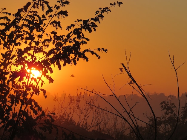 Prachtige zonsondergang met oranje lucht