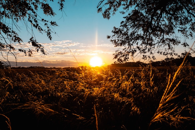 prachtige zonsondergang op de boerderij