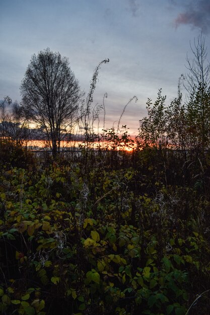 Foto prachtige zonsondergang op de rivier de wolga