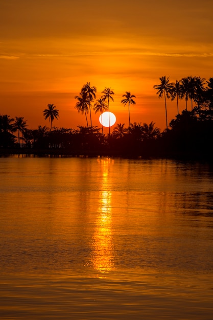 Prachtige zonsondergang op het strand, het zeewater en het silhouet van de kokosnotenpalm, thailand