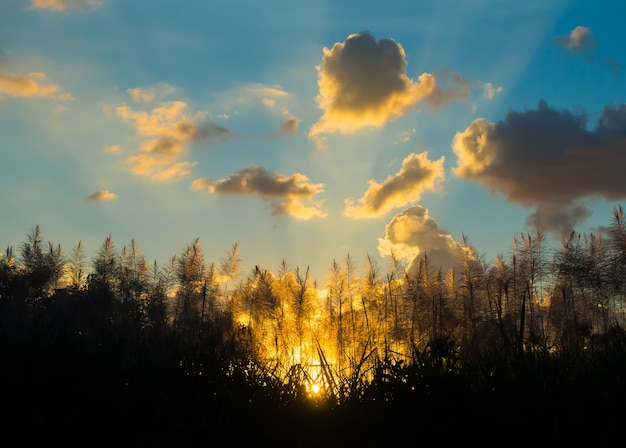 Prachtige zonsondergang schemering tijd