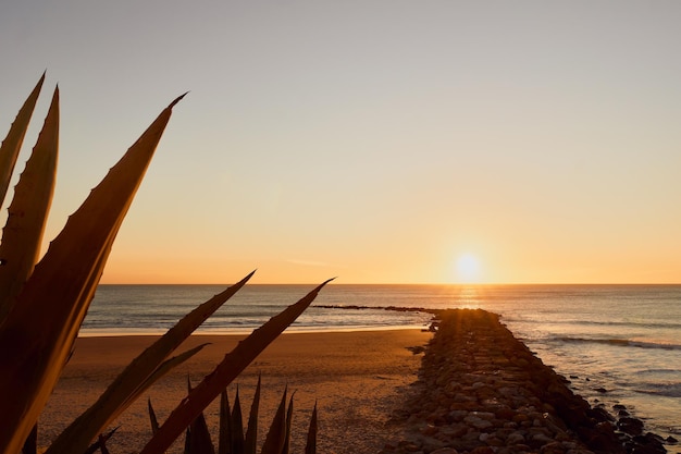 Prachtige zonsondergang strand rotspad horizon