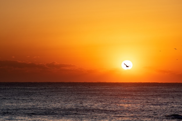 Prachtige zonsopgang boven de oceaan,