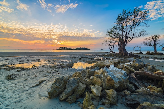 prachtige zonsopgangsfeer op het strand met mangrovebomen langs de kust