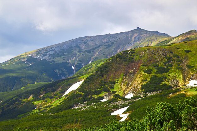 Prachtige zwitserse alpen geweldig uitzicht op de bergen met hoge toppen, groene heuvels en wolken laag in de vallei