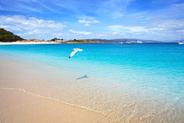 Praia de Rodas beach in islas Cies island Vigo Spain