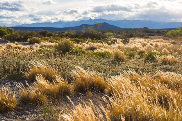 Prairie landscapes in Utah, USA