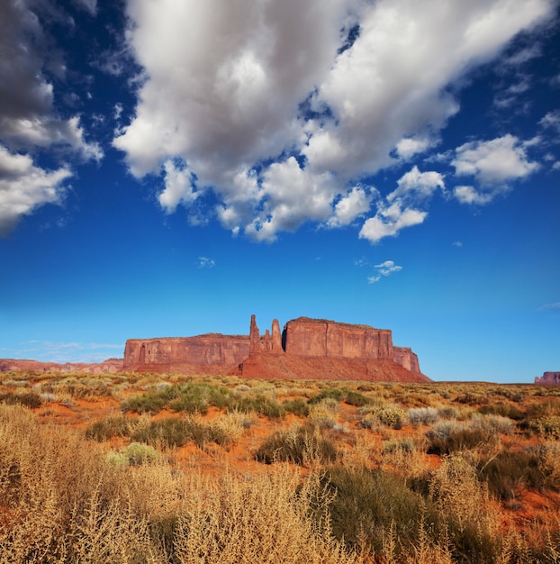 Prairie landscapes