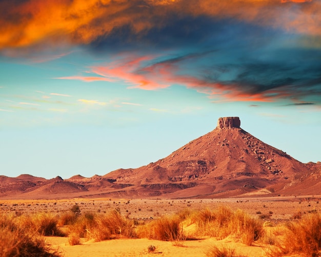 Prairie in Morocco