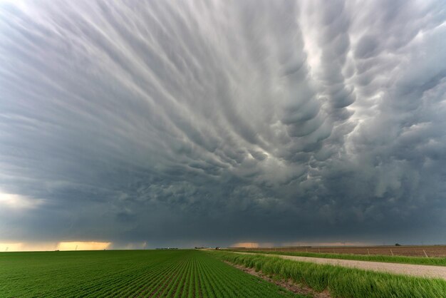 Photo prairie storm clouds mammatus