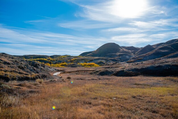 Prairielandschap