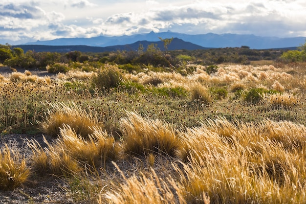 Prairielandschappen in Utah, VS.