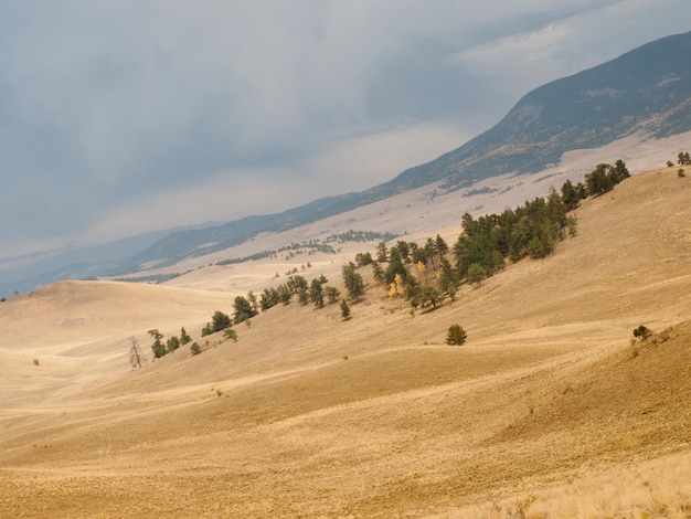 Prairiestorm in Colorado.