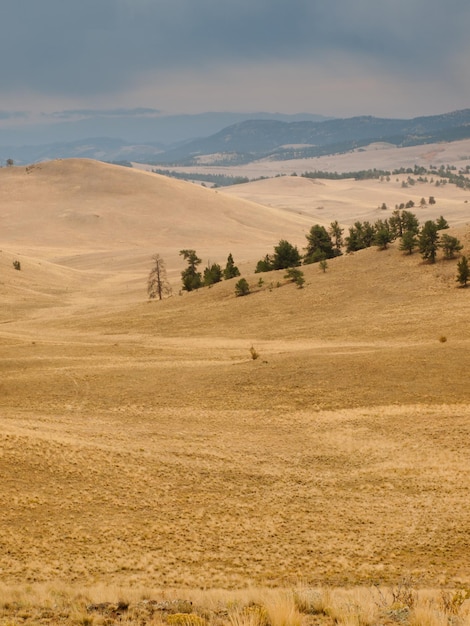 Prairiestorm in Colorado.