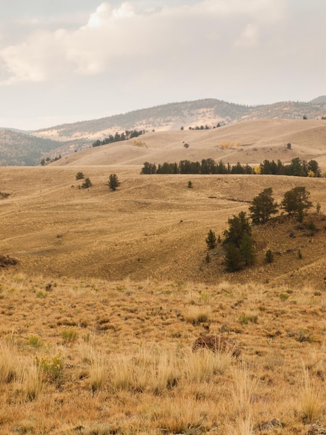 Prairiestorm in Colorado.