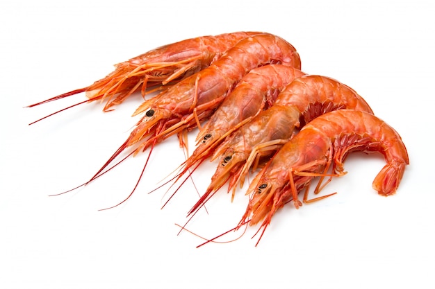 Prawns isolated on white