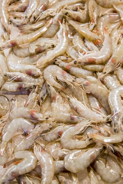 Prawns