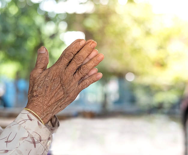 사진 기도 개념. 늙은 여자의 손 놀라운 녹색 bokeh 배경으로기도.