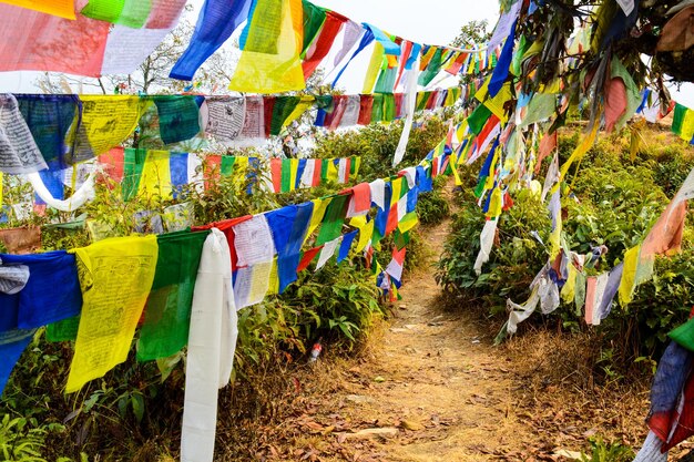 Prayer flags hanging over plants