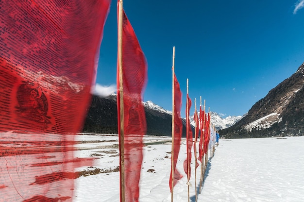 Prayer flags