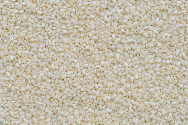 Photo preapared white sesame for cooking, white sesame seed background and texture
