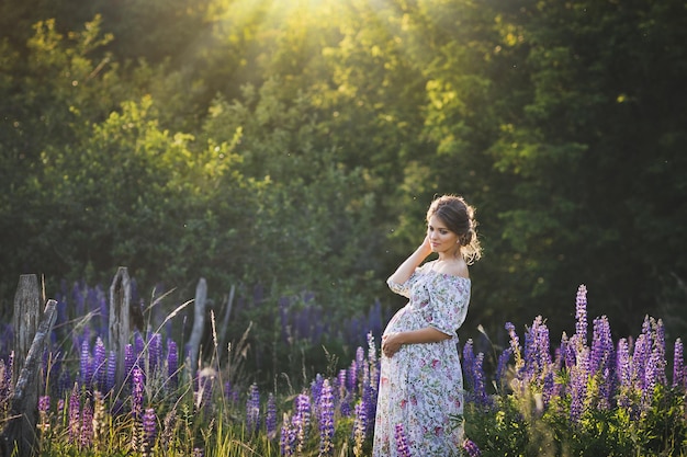 A pregnant girl walks through the blooming lupine field 1675