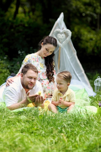 Pregnant mom dad and little son on a picnic in the park