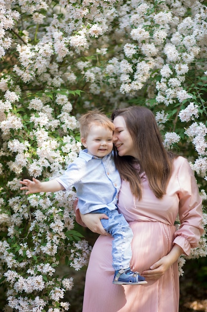 Pregnant woman in the apple orchard is holding tummy and apple blossoming branch