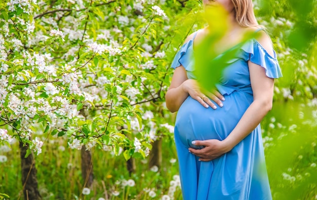 Pregnant woman in the garden of flowering apple trees Selective focus