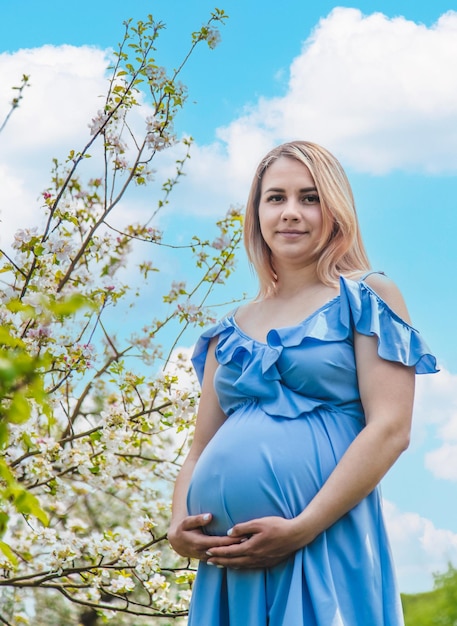 Pregnant woman in the garden of flowering apple trees Selective focus