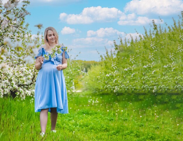 Pregnant woman in the garden of flowering apple trees Selective focus