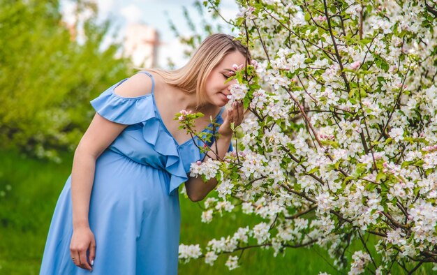 Pregnant woman in the garden of flowering apple trees Selective focus