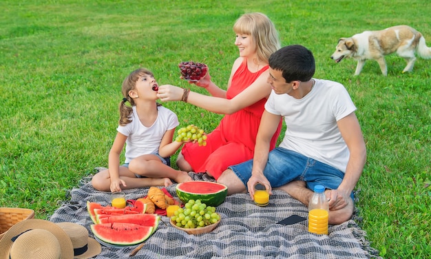 Donna incinta in un pic-nic